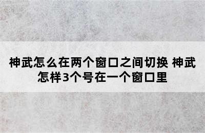 神武怎么在两个窗口之间切换 神武怎样3个号在一个窗口里